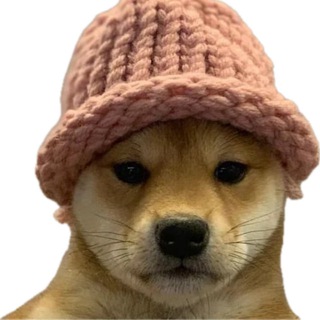 Telegram profile photo for cabal launch