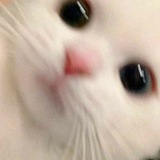 Telegram profile photo for Dump