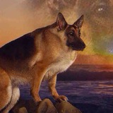 Telegram profile photo for Max