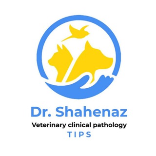 Telegram profile photo for Veterinary Clinical Pathology Tips