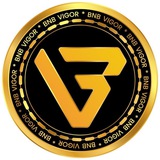 Telegram profile photo for BNB VIGOR $VT