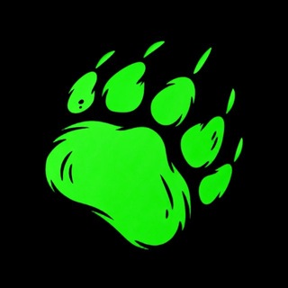 Telegram profile photo for Bear AI