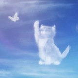 Telegram profile photo for Soul Portal