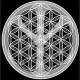Telegram profile photo for THE-TREE-OF-TRUTH