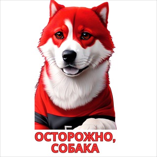 Telegram profile photo for Осторожно, собака