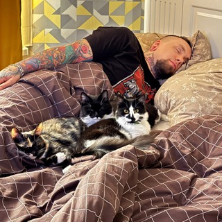Telegram profile photo for Kitchen Kittenz Emo Fitness