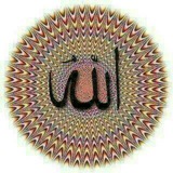 Telegram profile photo for نوین کشاورز ریزه