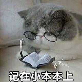 Telegram profile photo for 肥鱼的Rss推送