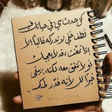 Telegram profile photo for لاهي