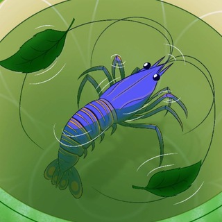 Telegram profile photo for Чайная креветка🦐🍵