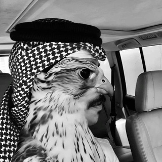 Telegram profile photo for دار القصَيد :
