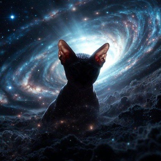 Telegram profile photo for Космические коты