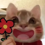 Telegram profile photo for 菠菜电子厂公司直招