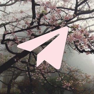 Telegram group profile photo for 🪷ПИАР-ЧАТ фрилансеров🪷