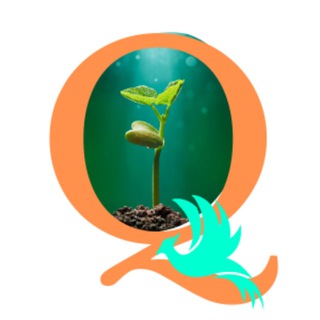 Telegram profile photo for Evelyn7E@lifeenergy