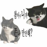 Telegram profile photo for прайс "больная психика"