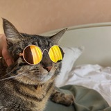 Telegram profile photo for Мысли Понтика