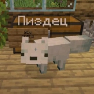 Telegram profile photo for витчи спит