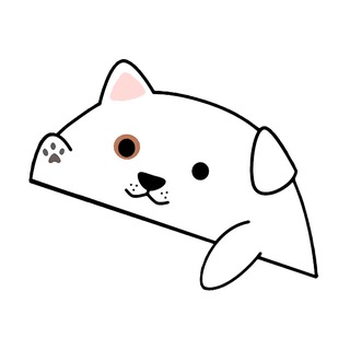 Telegram profile photo for THE BONGO DOG