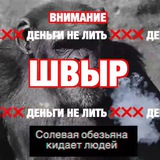 Telegram profile photo for belfortcodee СКАМ