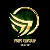 Telegram profile photo for Nur Group INFO