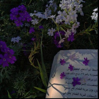Telegram profile photo for حنْينْ آلُروُح💜