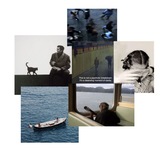 Telegram profile photo for Saudade Inc.