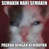 Telegram profile photo for kamu, aku, dan mimpi