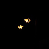 Telegram profile photo for ‹‹ اَرغَـوانـــ ››