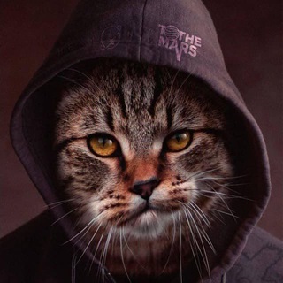 Telegram group profile photo for 🌑 Утушкин Владислав 🌕