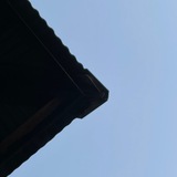 Telegram profile photo for Nightingale (Kalimba Tabs)