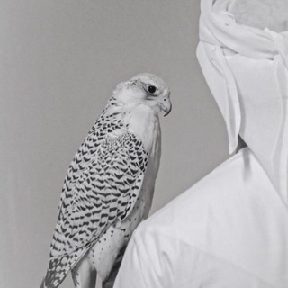 Telegram profile photo for « ᷂الـعـَام ᷂»٢
