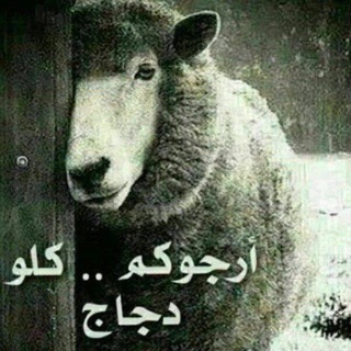 Telegram profile photo for патриоты Ирана