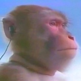Telegram profile photo for МЕМЫ