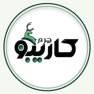 Telegram profile photo for کاور ریموت ودزدگیرماشین و محصولات چرم کاریبو