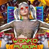 Telegram profile photo for Wonko youtub