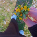 Telegram profile photo for ﮼سلطانة🍒