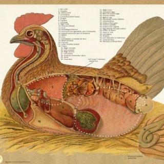 Telegram profile photo for фэйкблад