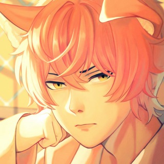 Telegram profile photo for Popipo