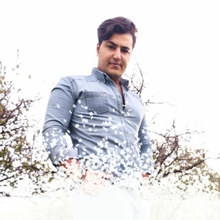 Telegram profile photo for دیکلمه مصطفی زنجانی
