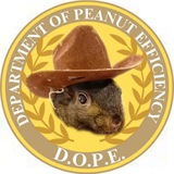 Telegram profile photo for $D.O.P.E | PORTAL