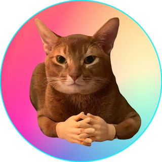 Telegram profile photo for Cat Wif Hands Portal