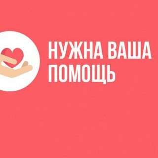 Telegram profile photo for Лапа помощи Большому Машкинскому приюту❤️