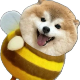 Telegram profile photo for 中高端IT技术招聘