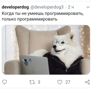 Telegram profile photo for Пёсьи мемы