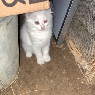 Telegram profile photo for Жизнь Самата