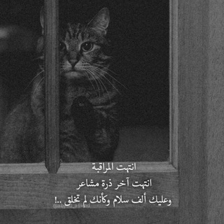 Telegram profile photo for هـدوء!