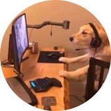Telegram profile photo for rich fags