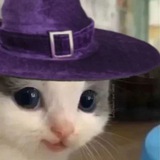 Telegram profile photo for $hehe memes channel