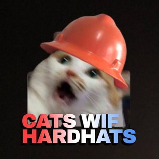 Telegram profile photo for catswifhardhats